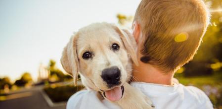 Laura Londoño, veterinaria: “Más del 60% de los perros tienen problemas relacionados con los ladridos excesivos, pero no son por mal comportamiento”