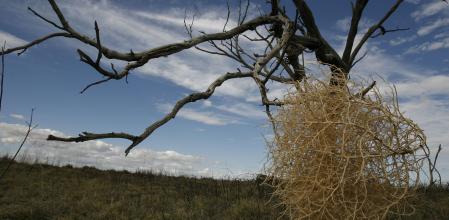 Almacenamiento de agua agotado en Darling Farms, cerca de North Bourke en el oeste de Nueva Gales del Sur, parte de la cuenca Murray-Darling del estado gravemente afectada por la sequía.