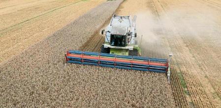 Harvesters collect wheat in the village of Zghurivka, Ukraine, Tuesday, Aug. 9, 2022. Before the war, Ukraine was seen as the world's bread basket, exporting 4.5 million tons of agricultural produce a month through its ports. Millions of tons of grain have been stuck due to Russian blockages since February. Under a deal brokered by Turkey and the UN last month, Russia agreed not to target ships in transit, and grain ships started to leave Ukraine as hopes grow for export stability. (AP Photo/Efrem Lukatsky)