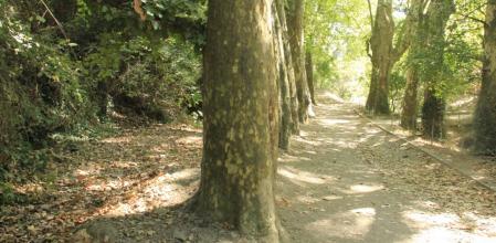 Paisaje otoñal en las inmediaciones del pantano de Vallvidrera.