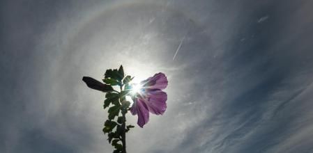 Halo solar captado en Manlleu.