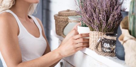 Plantas de otoño para decorar tu hogar.