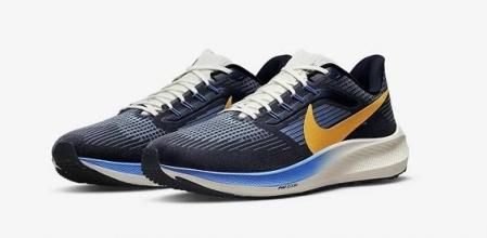 Nike Air Zoom Pegasus 39 Premium