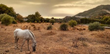 Amanece con calima en Osunillas.