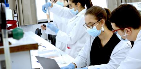 Estudiantes de Medicina realizando unas clases prácticas en una imagen de archivo