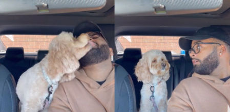 Conoce a Luna, la perrita viral que resuelve problemas de matemáticas y ecuaciones simples