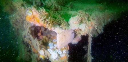 Revestimiento de cubierta rasgada del V-1302 John Mahn que fue dañado por una bomba que golpeó en medio del barco