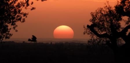 Atardecer en el camino de La Figuerosa a Altet.