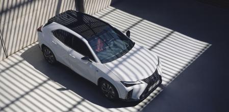 Descripción de la imagen