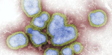Una imagen del virus influenza