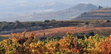 Otoño en la Rioja Alavesa.