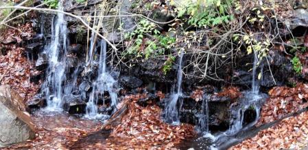 Pantano de Santa Fe.