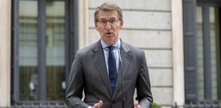 El presidente del PP, Alberto Núñez Feijóo, en el Congreso de los Diputados el día de la Constitución