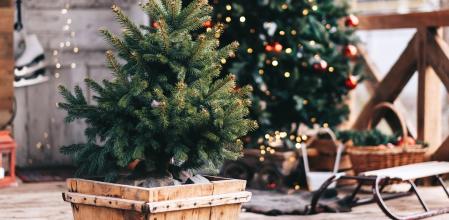 Small Christmas tree in a wooden pot in the backyard with christmas decorations. High quality photo