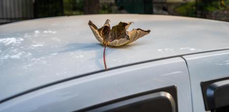 Un diputado ecologista francés propone que se pinten los techos de los coches de blanco para luchar contra el cambio climático