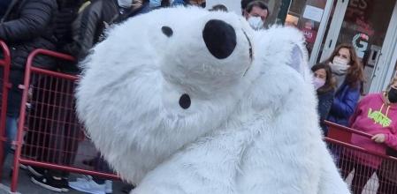 El 'oso perjudicado' de Cádiz cuenta ya con twitter propio.