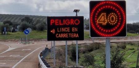 Panel informativo que alerta de la presencia de un lince en las inmediaciones de la carretera