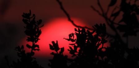 Última puesta de sol del año 2022 en Altet.