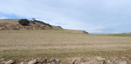 Reto visual: ¿Eres capaz de ver a los tres conejos?