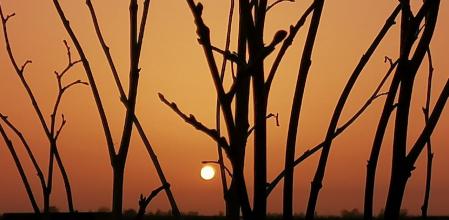 Cielo anaranjado en El Tarrós.