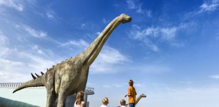 Museo de Paleontología de Cuenca