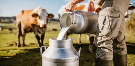La tolerancia a la hora de digerir la lactosa ayudó a cambiar el tamaño de los cuerpos humanos