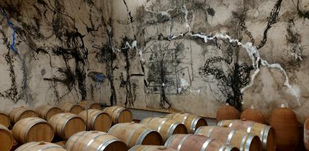 Vista del mural interior de bodega Mas Blanch, en Les Garrigues.