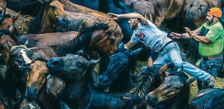 -FOTODELDÍA- A ESTRADA (PONTEVEDRA), 03/07/2022.- Segunda jornada de #{emoji}147;A Rapa das Bestas#{emoji}148;, en la que hizo presencia la lluvia durante el primitivo ejercicio de fuerza, pericia y astucia en el que el ser humano trata de doblegar con sus propias manos la voluntad de cientos de caballos salvajes. Vista del Curro durante la jornada lluviosa. EFE/Óscar Corral