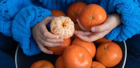 Las naranjas y las mandarinas están de temporada