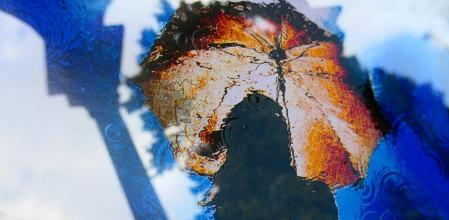 Reflejos sobre la lluvia.