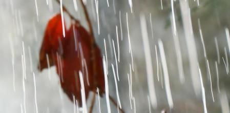 En primer plano las gotas de lluvia cayendo con un fondo desenfocado.