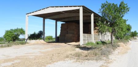 Reto visual: ¿Dónde está el gorrión?