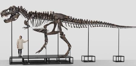 La magnitud del esqueleto de Trinity a escala humana