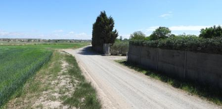 Reto visual: ¿Eres capaz de descubrir dónde está el espía y de quién se trata?