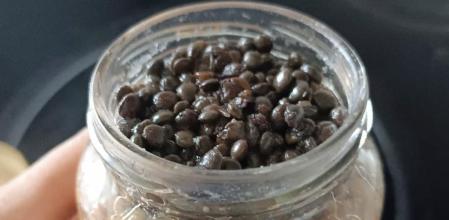 Lentejas en conserva oxidadas