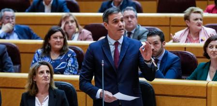 Pedro Sánchez, en el Pleno de control al Gobierno celebrado este martes en el Senado