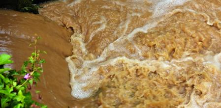 El Fluvià con las últimas lluvias de mayo.