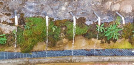 Surtidores de la fuente de la Basseta en Cercs.