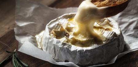 Queso camembert