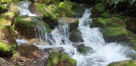 Fuentes del Cardener.