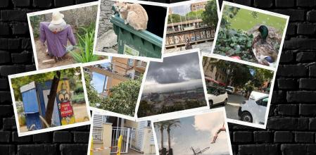 Diez imágenes curiosas, de quejas o con mensaje recogidas esta semana en El Buzón del Lector.