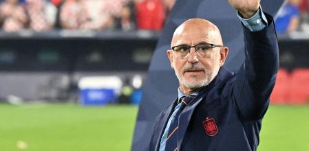 Luis de la Fuente celebra el titulo, este domingo en Rotterdam