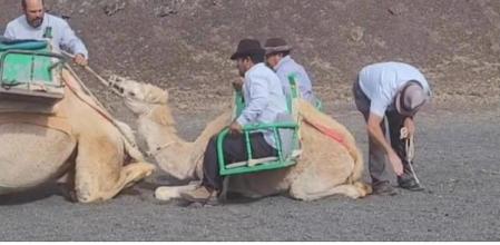 La acción denunciada ha sido difundida y criticada ampliamente en redes sociales en internet .