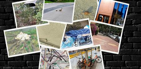 El Buzón del Lector.