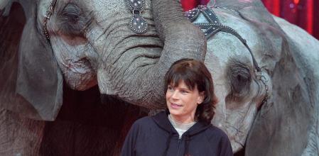 Princess Stephanie of Monaco during the presentation of the 40th Monte-Carlo International Circus Festival in Monaco, Tuesday, Jan. 12, 2016.
en la foto : elefantes