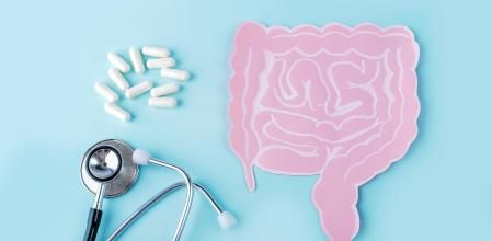 Los prebióticos promueven un equilibrio saludable de la microbiota intestinal.