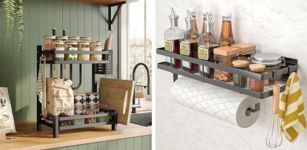 Organizadores de especies