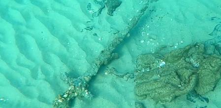 La espada pasó 800 años en el fondo del mar y acabó recubierta de arena y conchas marinas