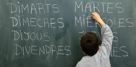 Un alumno escribiendo los días de la semana en la pizarra