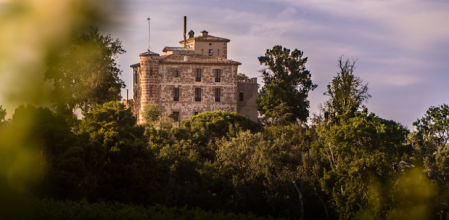 Vista del Castillo de Raymat.